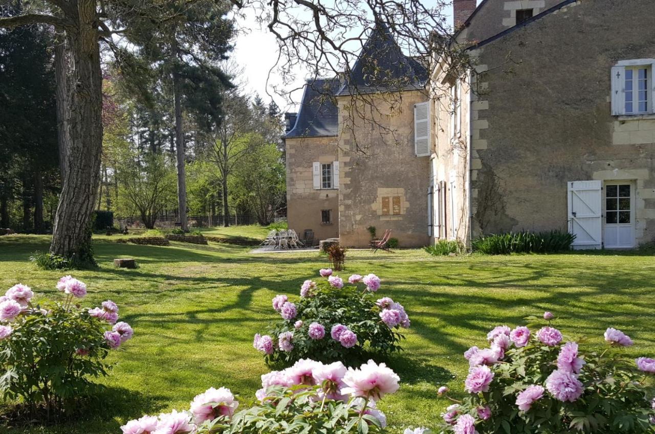 Manoir Du Bellay Bed & Breakfast Montreuil-Bellay